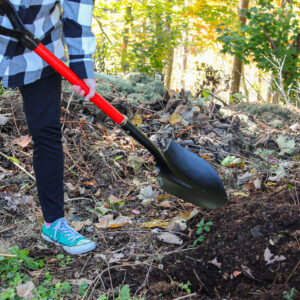 1235_28round_action02