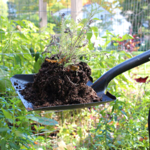 1252_48square_action03