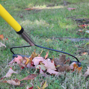 1726_action02_websize