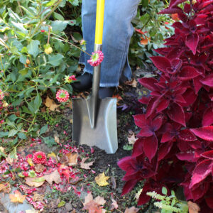 1757_action_01_websize