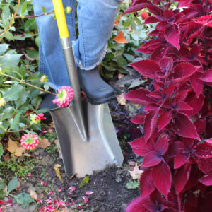 1757_action_02_websize