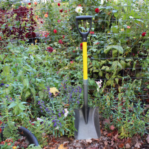 1757_action_03_websize