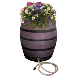 Whiskey Barrel - 50 Gallon