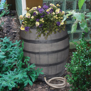 Rain Barrels
