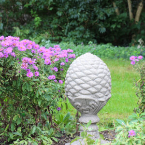 2255_sandPineapple_garden_03