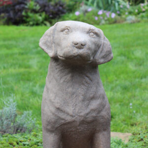 2302_lab_garden_CU