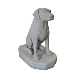 Labrador