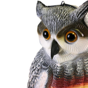 2319_StationaryOwl(HeadCLoseUp)