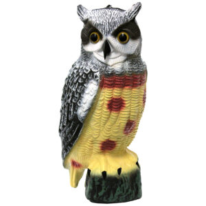 Garden Owl