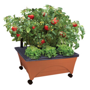 City Pickers Patio Garden