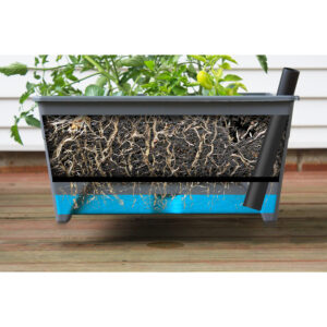 2347_roots_notext_websize