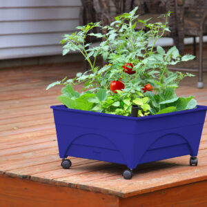 2348_onDeck_zoomedOut_02 copy