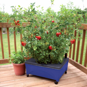 2348_pickerBlue_cornerZoomedoutCorner copy