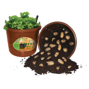 Spud Tub Potato Planter