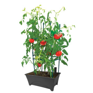 Start Pickin' Herb Garden