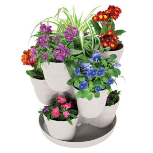 2384D_isolated_flower