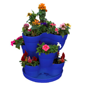 2388_Isolated_flowers