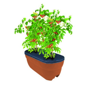 2431_RailPlanter