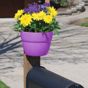 2462Post_Mailbox