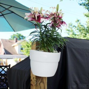 2464_PostPlanter_Enviro