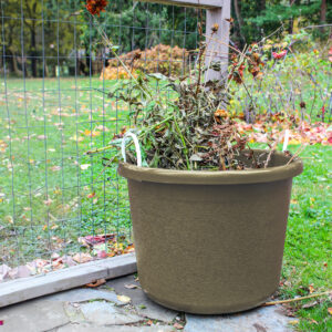 2655_SandLifestyle_01 copy