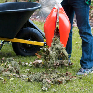 9026_grassgrab_websize