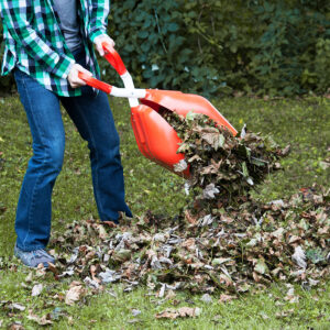 9026_leavesup_websize