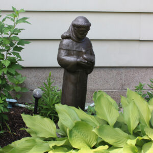 92230_StFrancis(enviro)