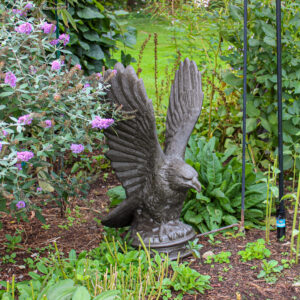92238_garden_4