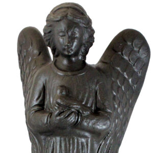 92260_MorningAngel(Close-Up)
