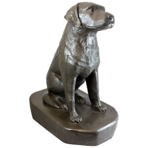 92302_SittingLabrador