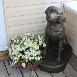 92302_SittingLabrador(enviro)