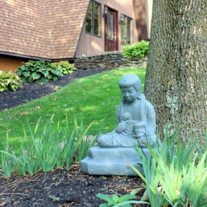 Buddah(Enviro)1