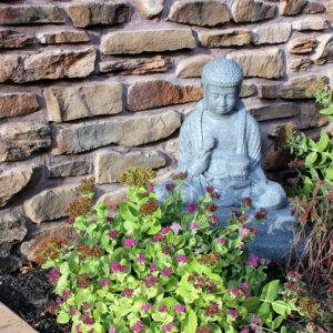 Buddah(Enviro)2