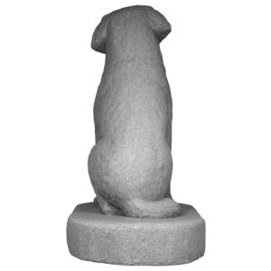 Labrador(Back)