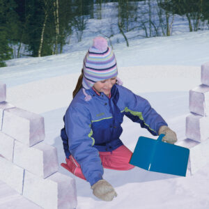 1099_MegaBrick_InUse