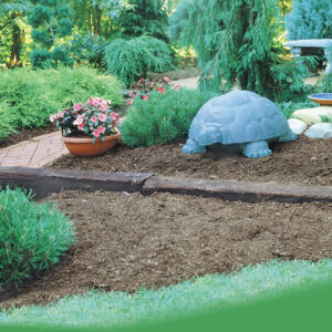 914qPhFzsiL._SL1500_