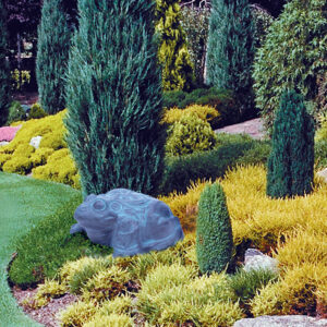 915WscyvjZL._SL1500_