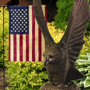 92238-1_AmericanEagle(Bronze)Enviro03