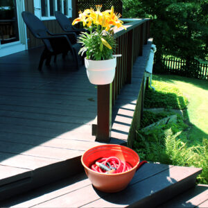 1580_Enviro(2)_websize