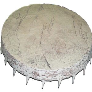 Stepping Stone Paver