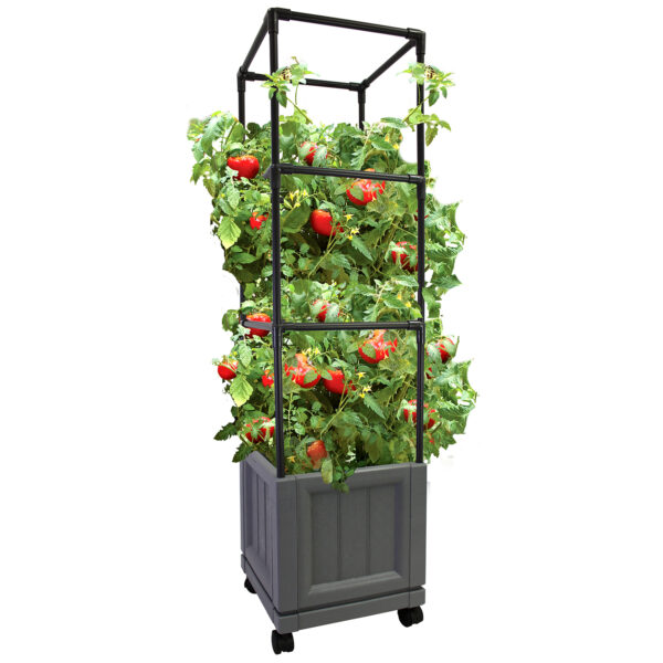 2323D_TomatoTrellis_Isolated_websiteSized