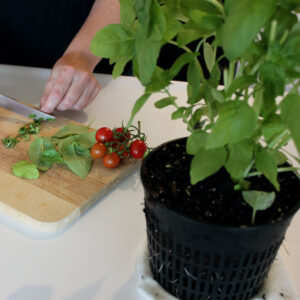 2370_Kitchen4_websize