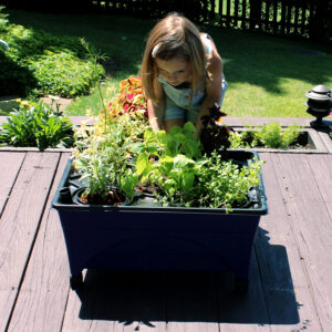 2370_smelling_websize