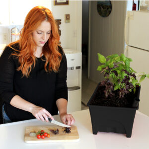 2374_KitchenCounter(8)_websize