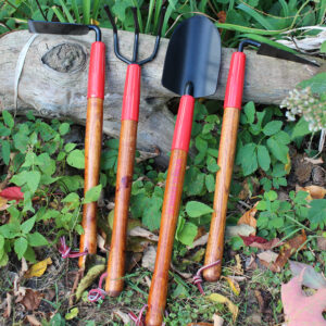 TS1264_group01_websize