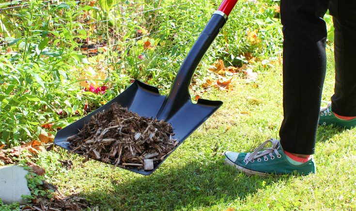 1236_squareshovel_woodchips